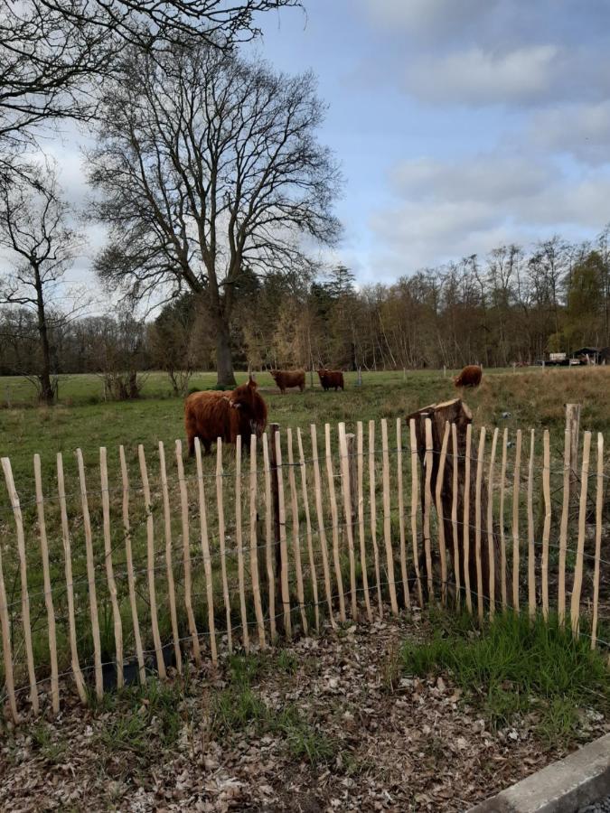 B & B Twijfelveld Assen Exteriér fotografie