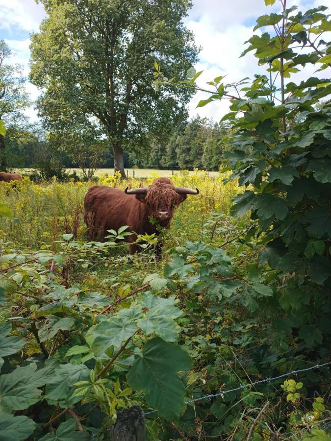 B & B Twijfelveld Assen Exteriér fotografie